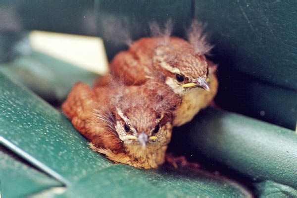 Scanned Photo-12-1_edited