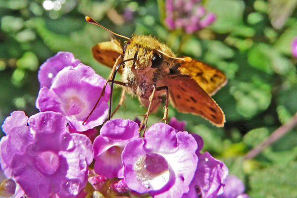 P1060591_edited_edited-1