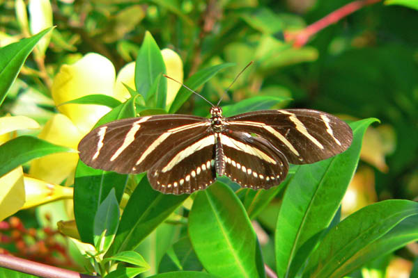 P1080466-copy_edited